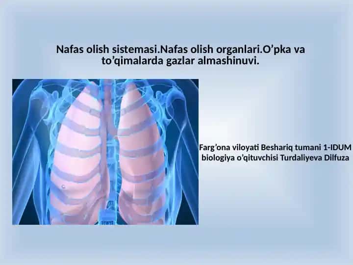 Nafas olish sistemasi
