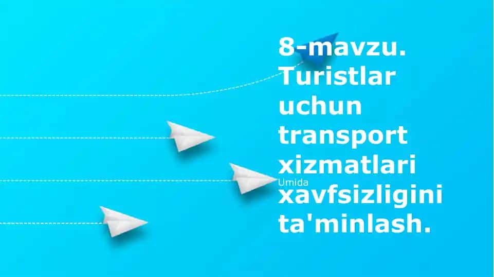 Turistlar uchun transport xizmatlari xavfsizligini ta'minlash
