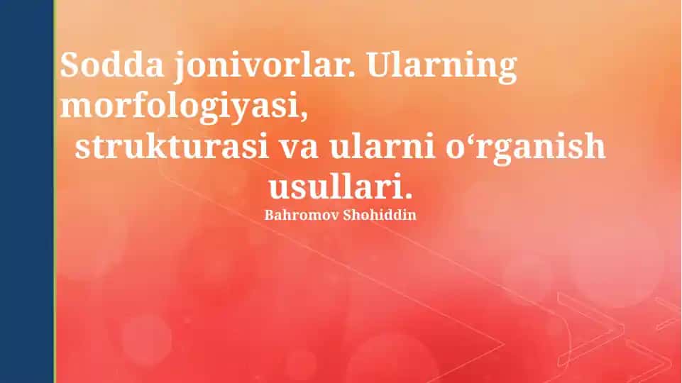Protozoalar: Umumiy tavsif va ahamiyati