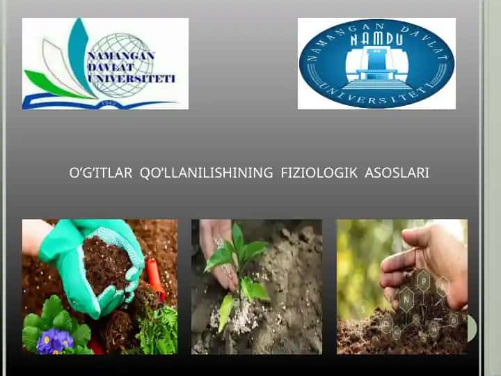 O’G’ITLAR QO’LLANILISHINING FIZIOLOGIK ASOSLARI