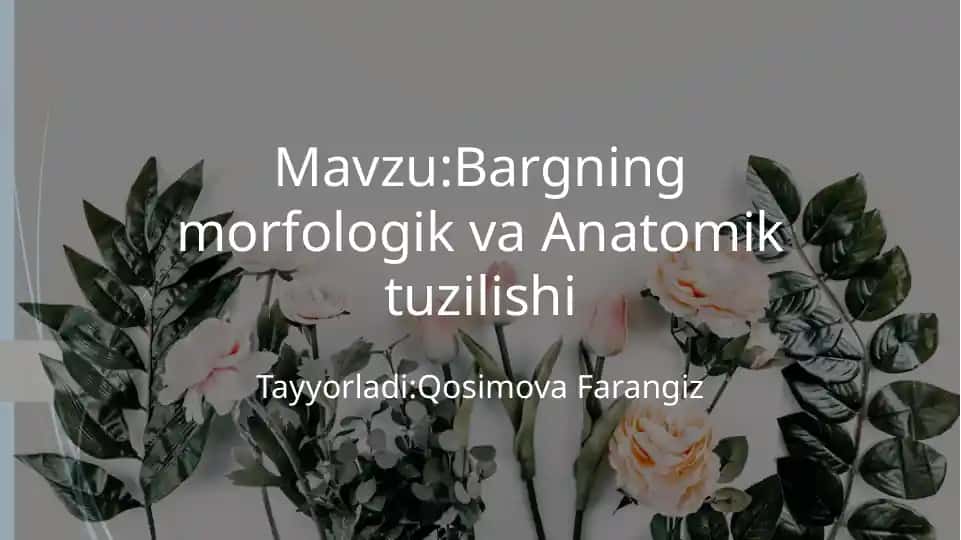 Bargning morfologik va Anatomik tuzilishi