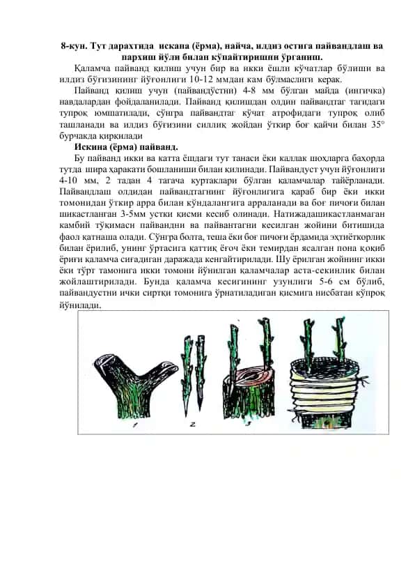 Искина (ёрма) пайванд
