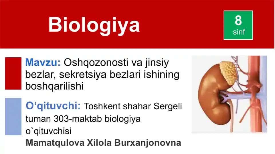 Oshqozonosti va jinsiy bezlar, sekretsiya bezlari ishining boshqarilishi