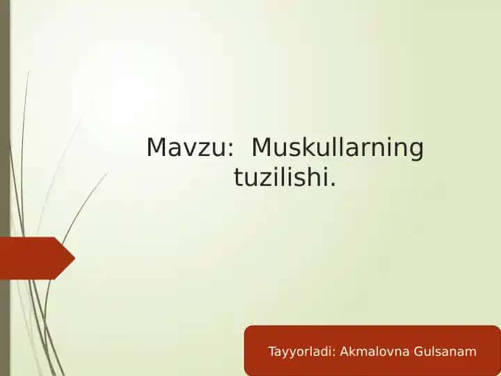 Muskullarning tuzilishi