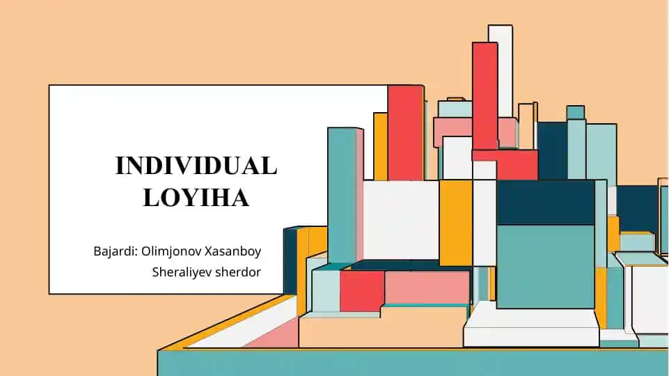 INDIVIDUAL LOYIHA