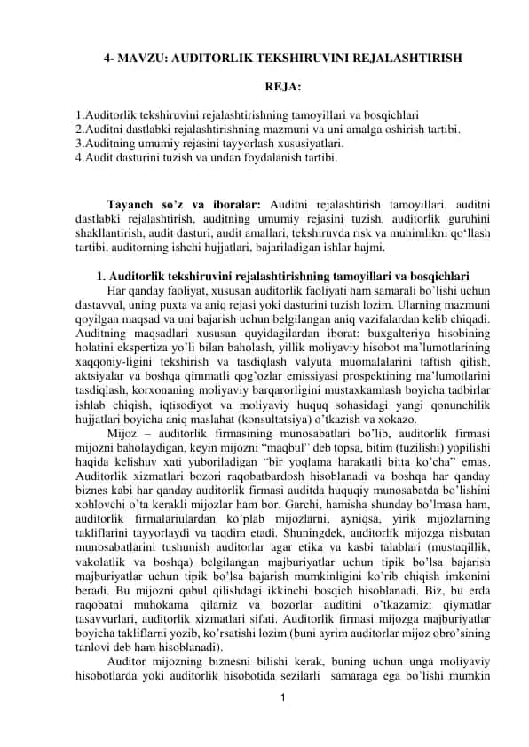 Auditorlik Tekshiruvi Rejalashtirish