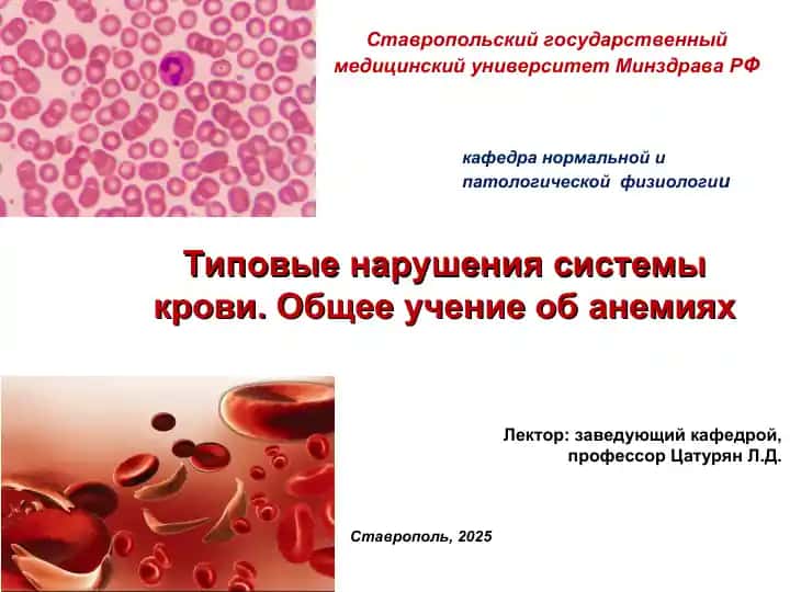 Типовые нарушения системы крови. Общее учение об анемиях