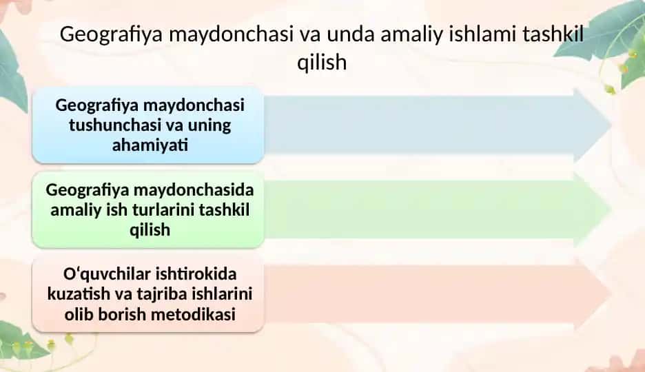 Geografiya maydonchasi va unda amaliy ishlami tashkil qilish