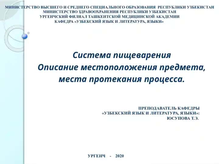 Sistema pishchevareniya