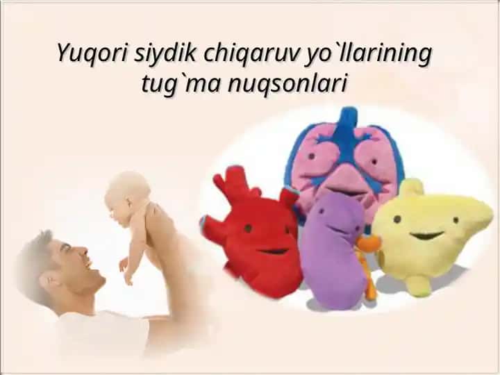 Buyraklar va Siydik Yo'llari