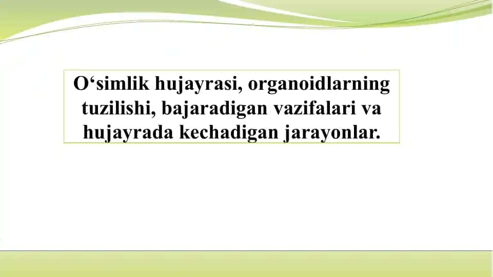 O'simliklar hujayrasi haqida taqdimot