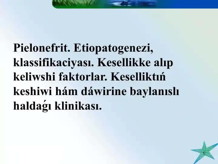Pielonefrit
