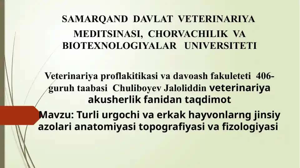 Turli urgochi va erkak hayvonlarng jinsiy azolari anatomiyasi topografiyasi va fizologiyasi
