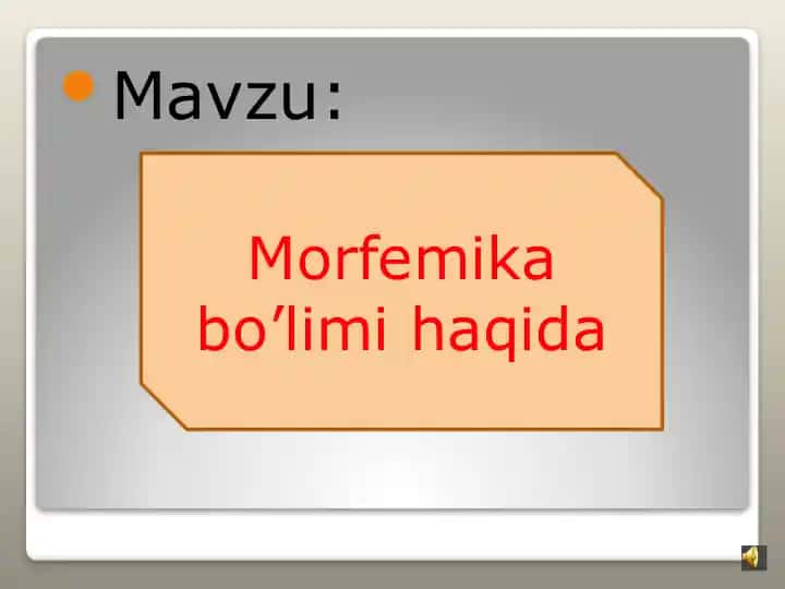 Morfemika bo’limi haqida