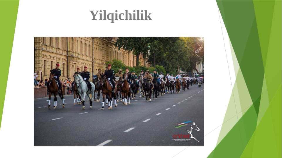 Yilqichilik