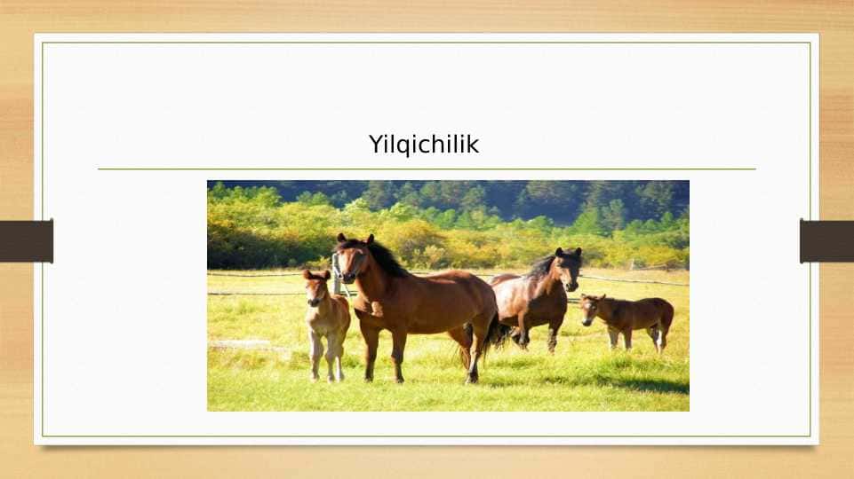 Yilqichilik
