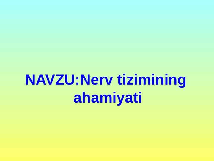 Nerv tizimining ahamiyati