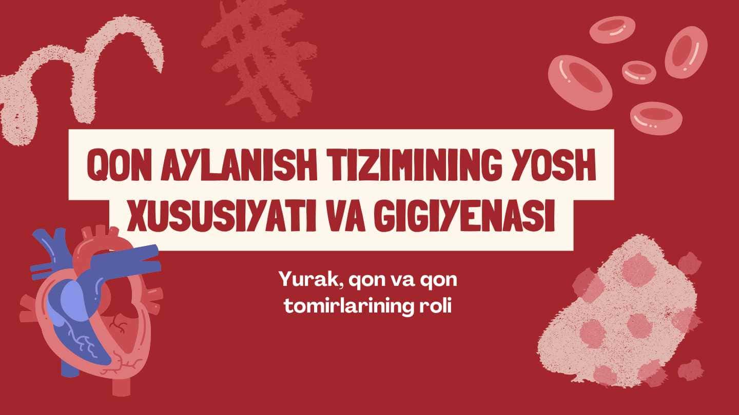 Qon aylamish tiziminign yosh xususiyati