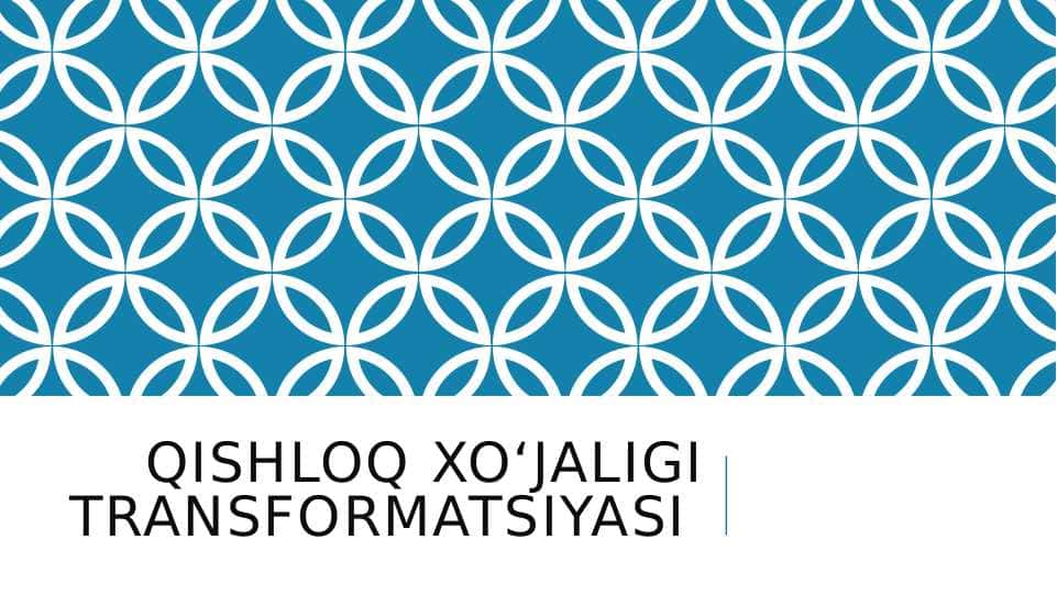 Qishloq xo‘jaligi transformatsiyasi