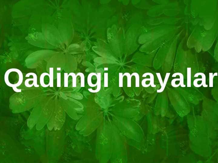 Etnologiya fanidan prezentatsiya. Qadimgi mayalar xalqi haqida