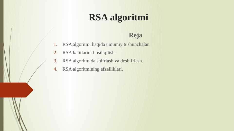 RSA algoritmi