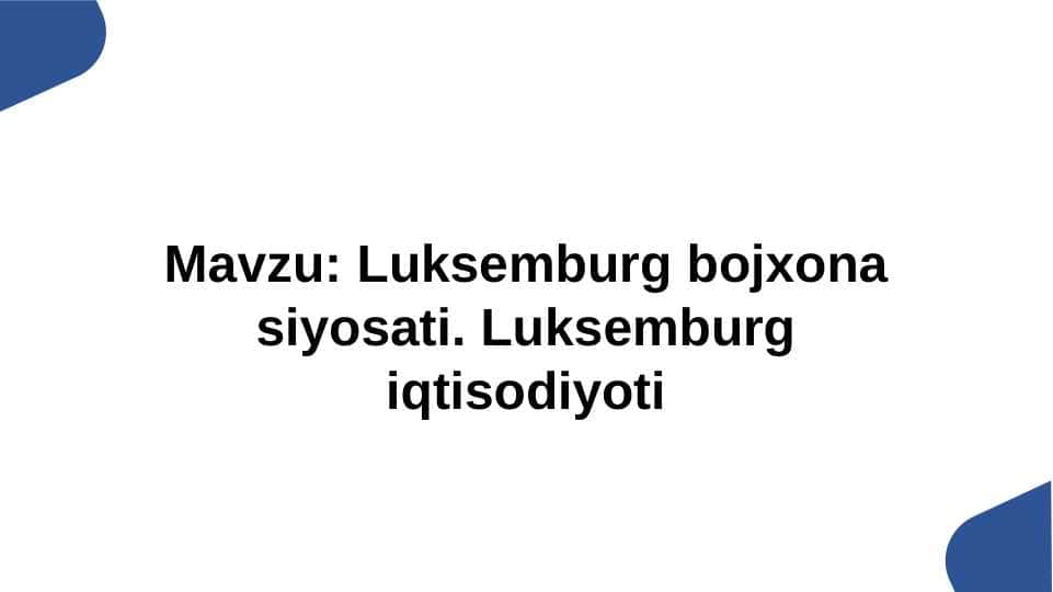 Luksemburg bojxona siyosati. Luksemburg iqtisodiyoti