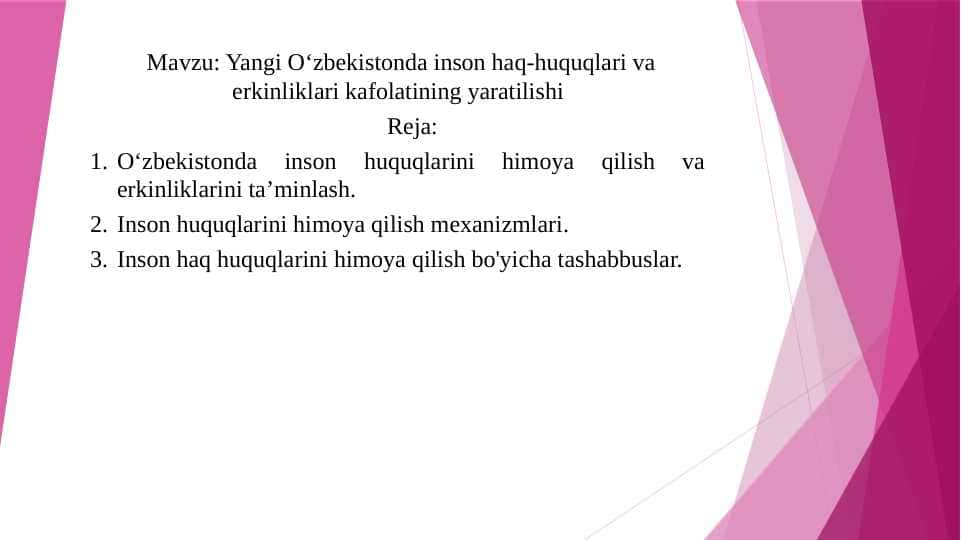 Yangi O‘zbekistonda inson haq-huquqlari va erkinliklari kafolatining yaratilishi