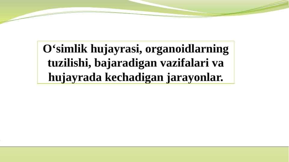 O‘simlik hujayrasi, organoidlarning tuzilishi, bajaradigan vazifalari va hujayrada kechadigan jarayonlar.