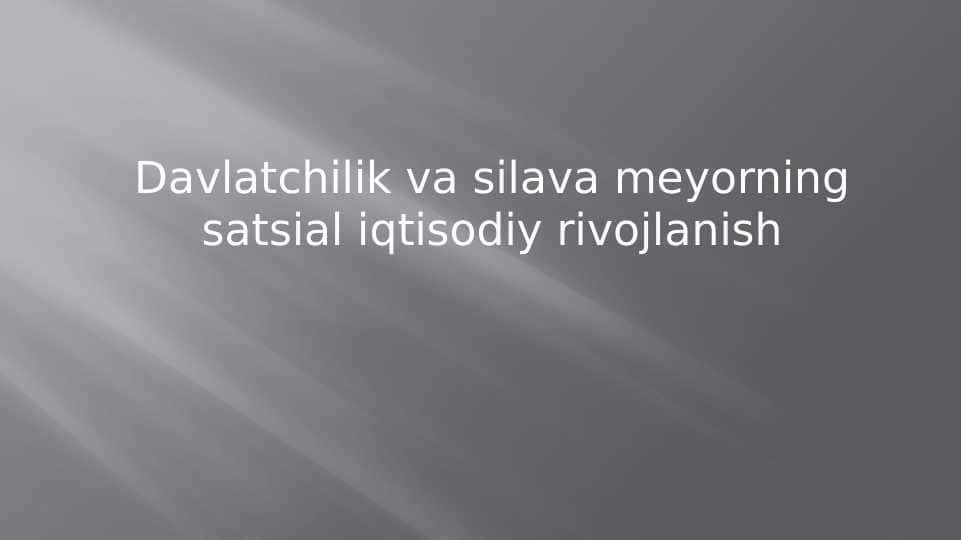 Davlatchilik va silava meyorning satsial iqtisodiy rivojlanish