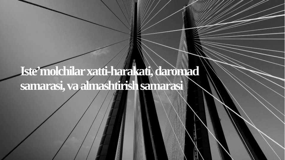 Iste’molchilar xatti-harakati, daromad samarasi, va almashtirish samarasi