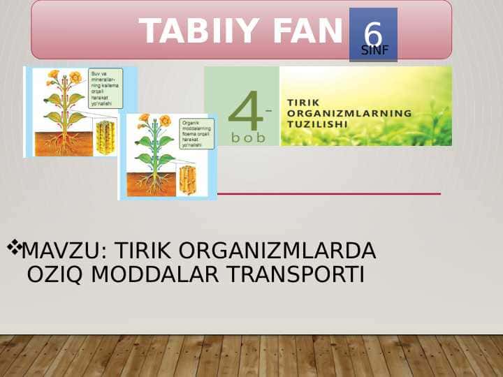 Tirik organizmlarda oziq moddalar transporti