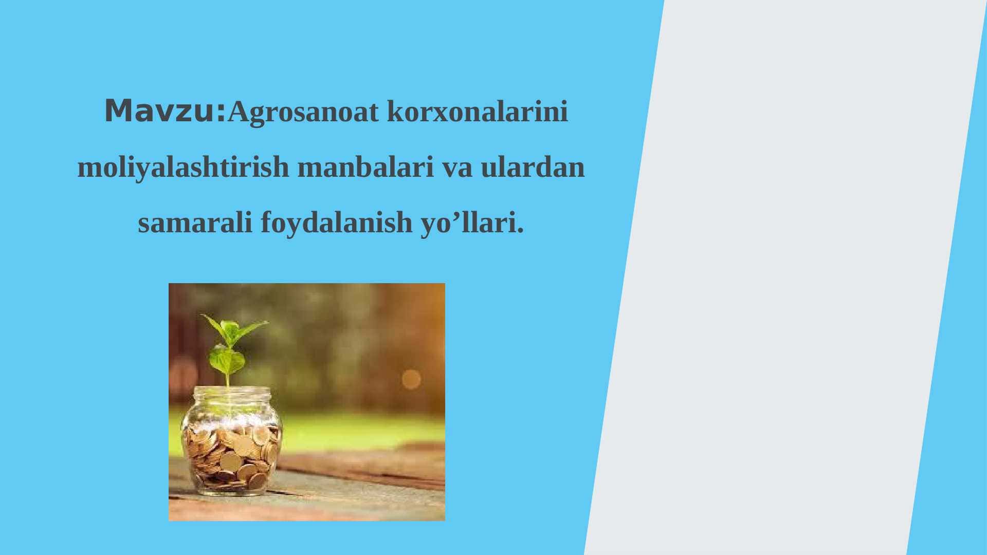Agrosanoat korxonalarini moliyalashtirish manbalari va ulardan samarali foydalanish yo’llari.