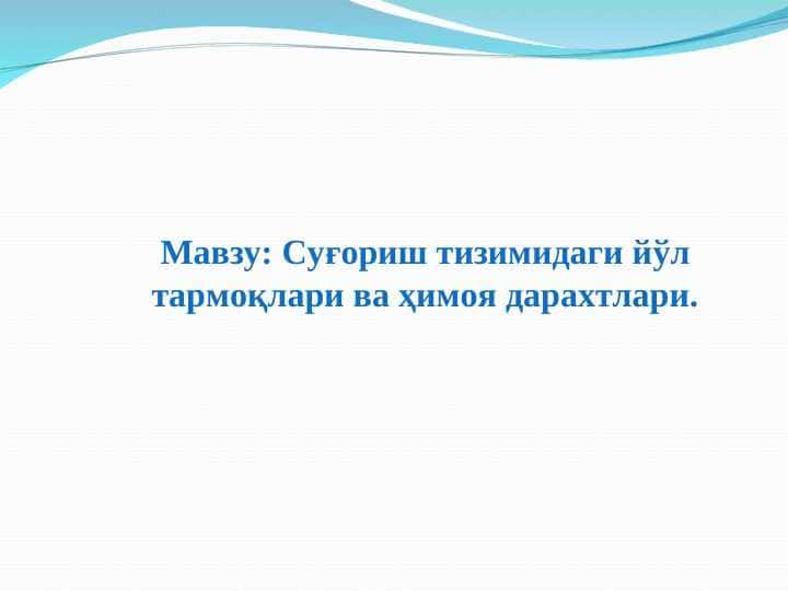 Суғориш тизимидаги йўл тармоқлари ва ҳимоя дарахтлари