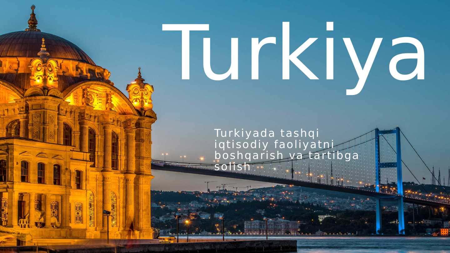 Turkiyada tashqi iqtisodiy faoliyatni boshqarish va tartibga solish