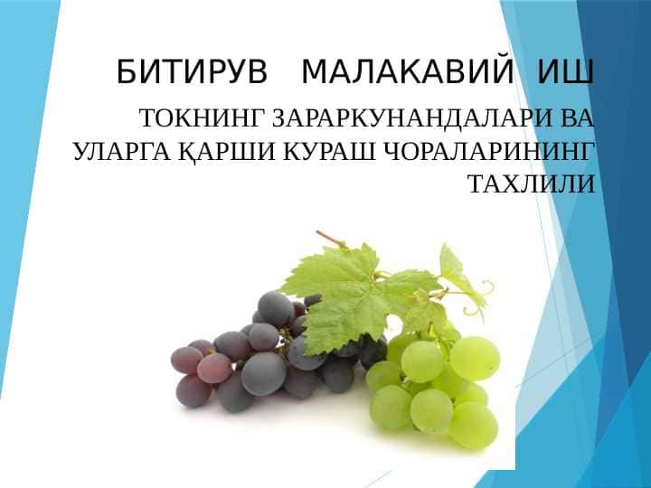 ТОКНИНГ ЗАРАРКУНАНДАЛАРИ ВА УЛАРГА ҚАРШИ КУРАШ ЧОРАЛАРИНИНГ ТАХЛИЛИ