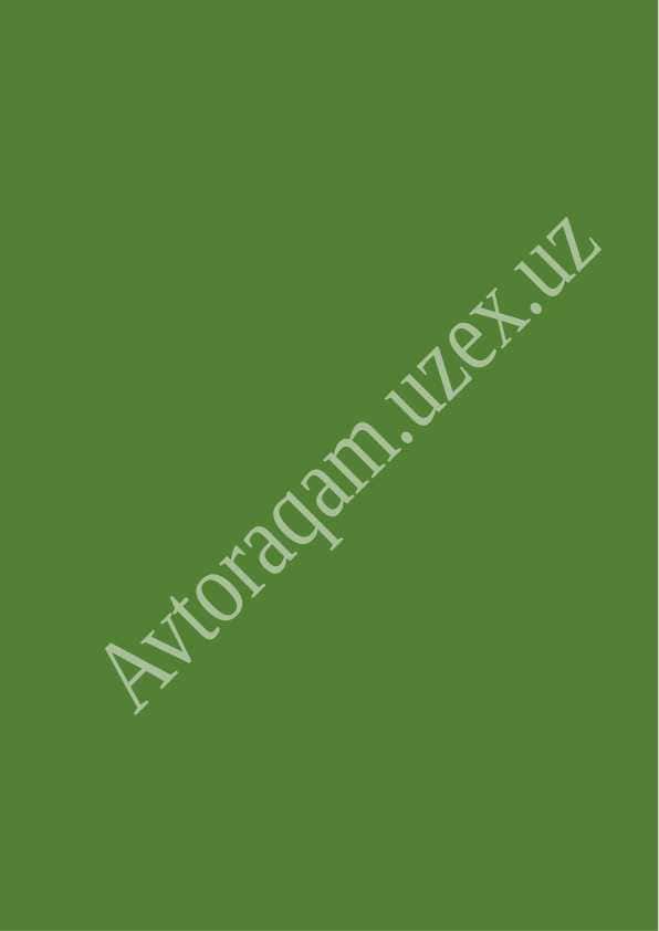 Avtoraqam.uzex.uz avtoraqamlar onlayn auksioni platformasidan foydalanish