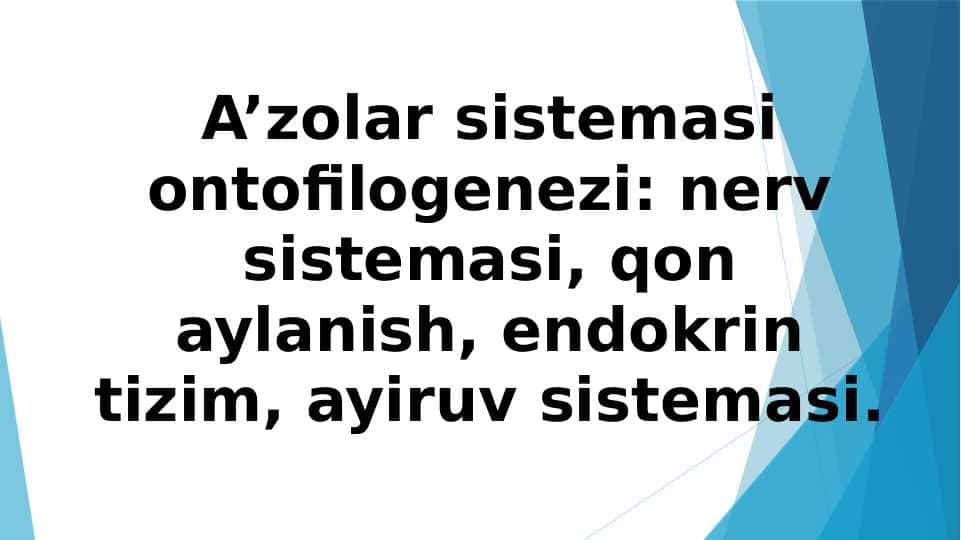 A’zolar sistemasi ontofilogenezi: nerv sistemasi, qon aylanish, endokrin tizim, ayiruv sistemasi.