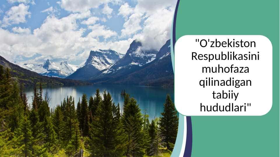 O'zbekiston Respublikasini muhofaza qilinadigan tabiiy hududlari