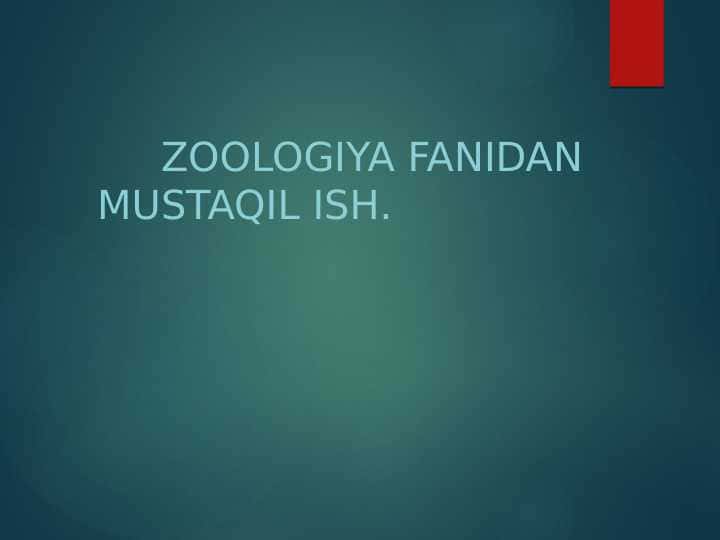 Zoologiya Fanidan Mustaqil ISh. pptx