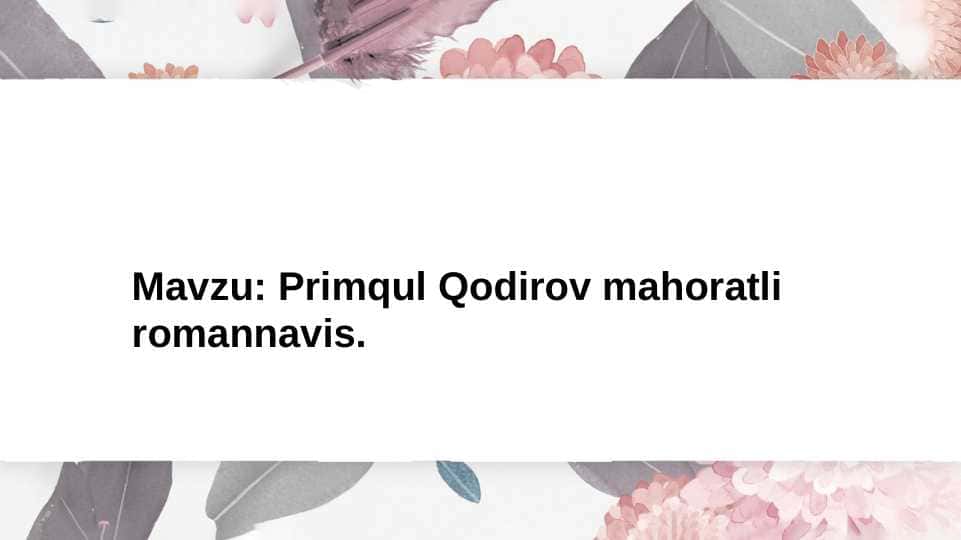 Primqul Qodirov mahoratli romannavis.