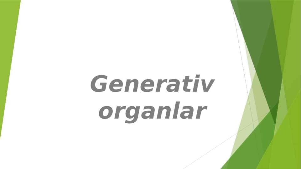 Generativ organlar pptx