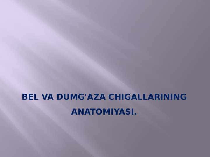Bel va dumg'aza chigallarining anatomiyasi