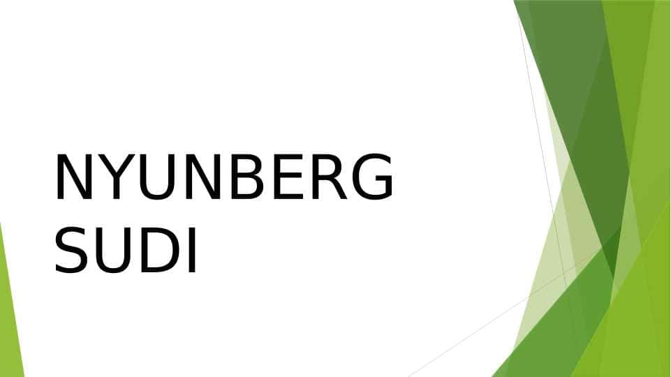 NYUNBERG SUDI