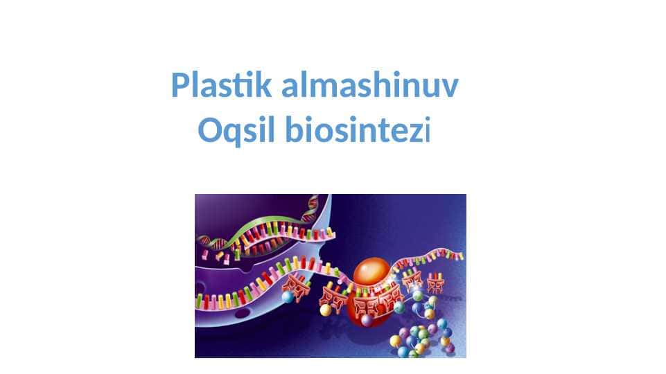 Plastik almashinuv Oqsil biosintezi