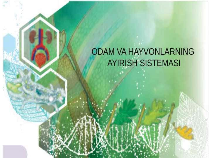 ODAM VA HAYVONLARNING AYIRISH SISTEMASI