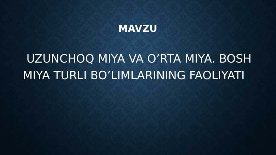 UZUNCHOQ MIYA VA O’RTA MIYA. BOSH MIYA TURLI BO’LIMLARINING FAOLIYATI