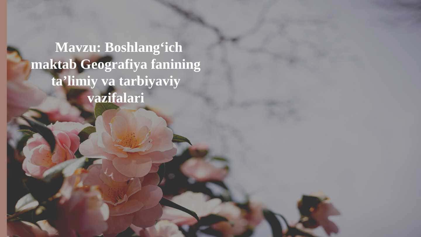 Boshlang‘ich maktab Geografiya fanining ta’limiy va tarbiyaviy vazifalari