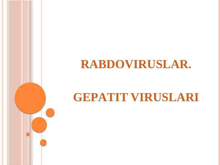 RАBDOVIRUSLАR. GEPАTIT VIRUSLАRI