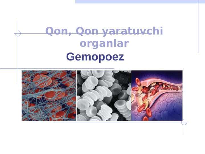 Qon. Qon yaratuvchi organlar