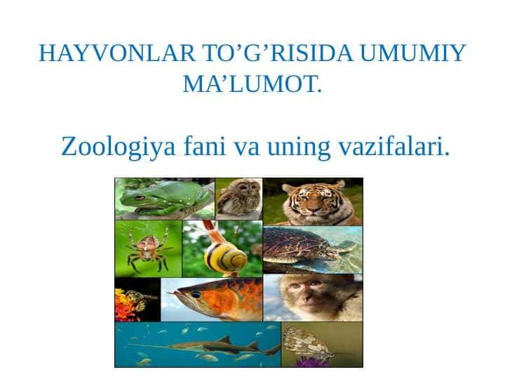 Zoologiya fani va uning vazifalari.